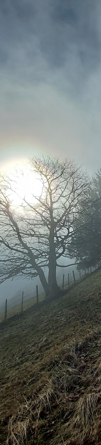 Simeliberg im Nebel