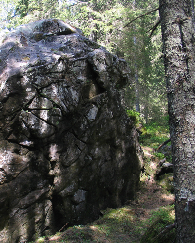 Runenstein im
              Zwergenwald