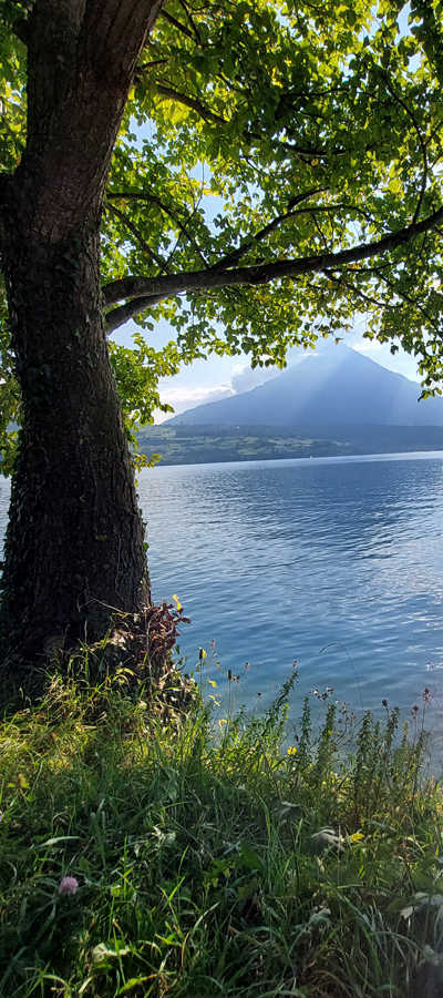 Niesen am Wendelsee
