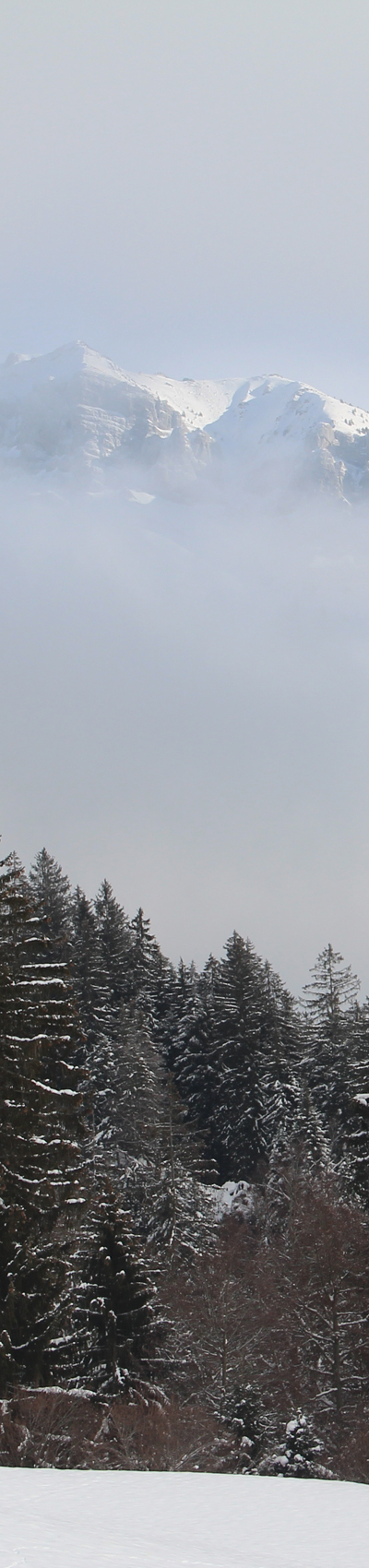 Erizwinter